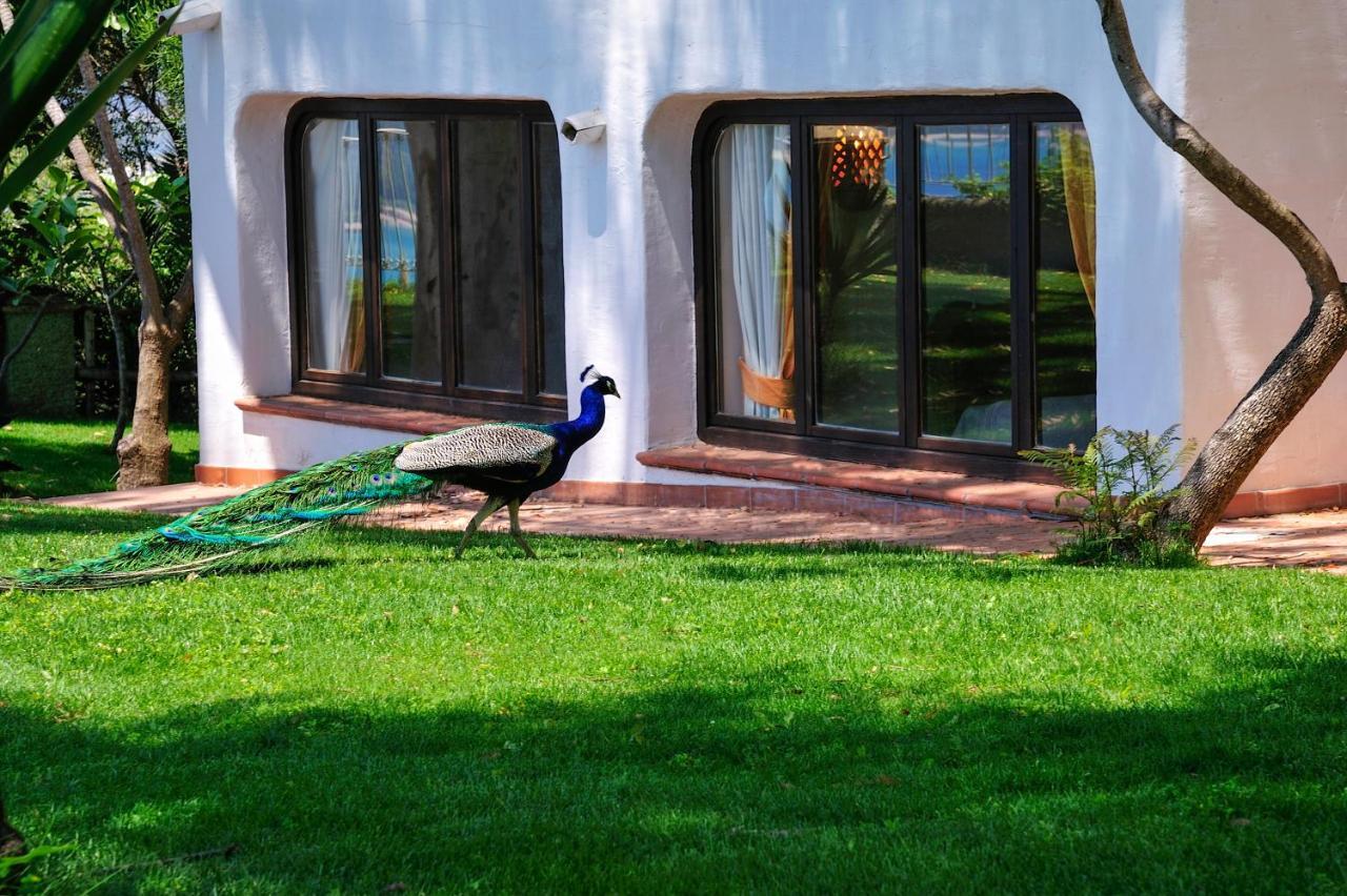 Arbatax Park Resort - Ville Del Parco Zewnętrze zdjęcie